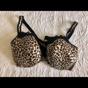 Cacique Intimates & Sleepwear - Animal Print Bra Cacique Intimates & Sleepwear - Animal Print Bra